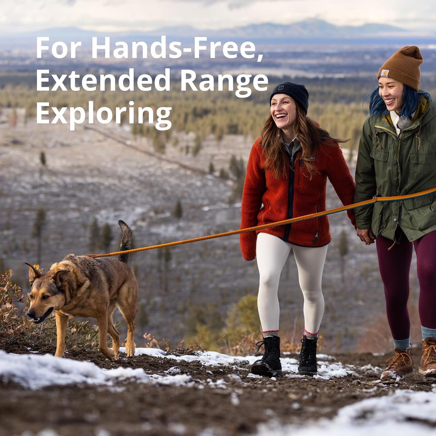 Hands free waist worn running dog leash with shock absorbing bungee