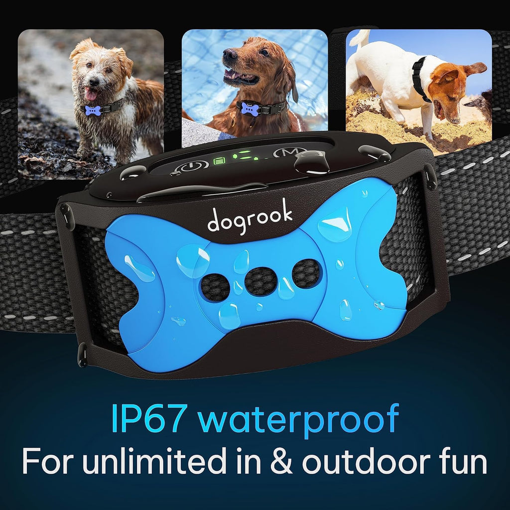 DogRook no-shock training collar on a dog