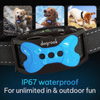 DogRook no-shock training collar on a dog