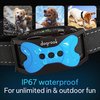 DogRook no-shock training collar on a dog