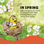 C&S Fruit n' Nut Suet Treat, Suet Cakes for Wild Birds Including Robins, Blue Jays, Bluebirds, Tanagers, Thrushes and More, 8 Pack - Image 12