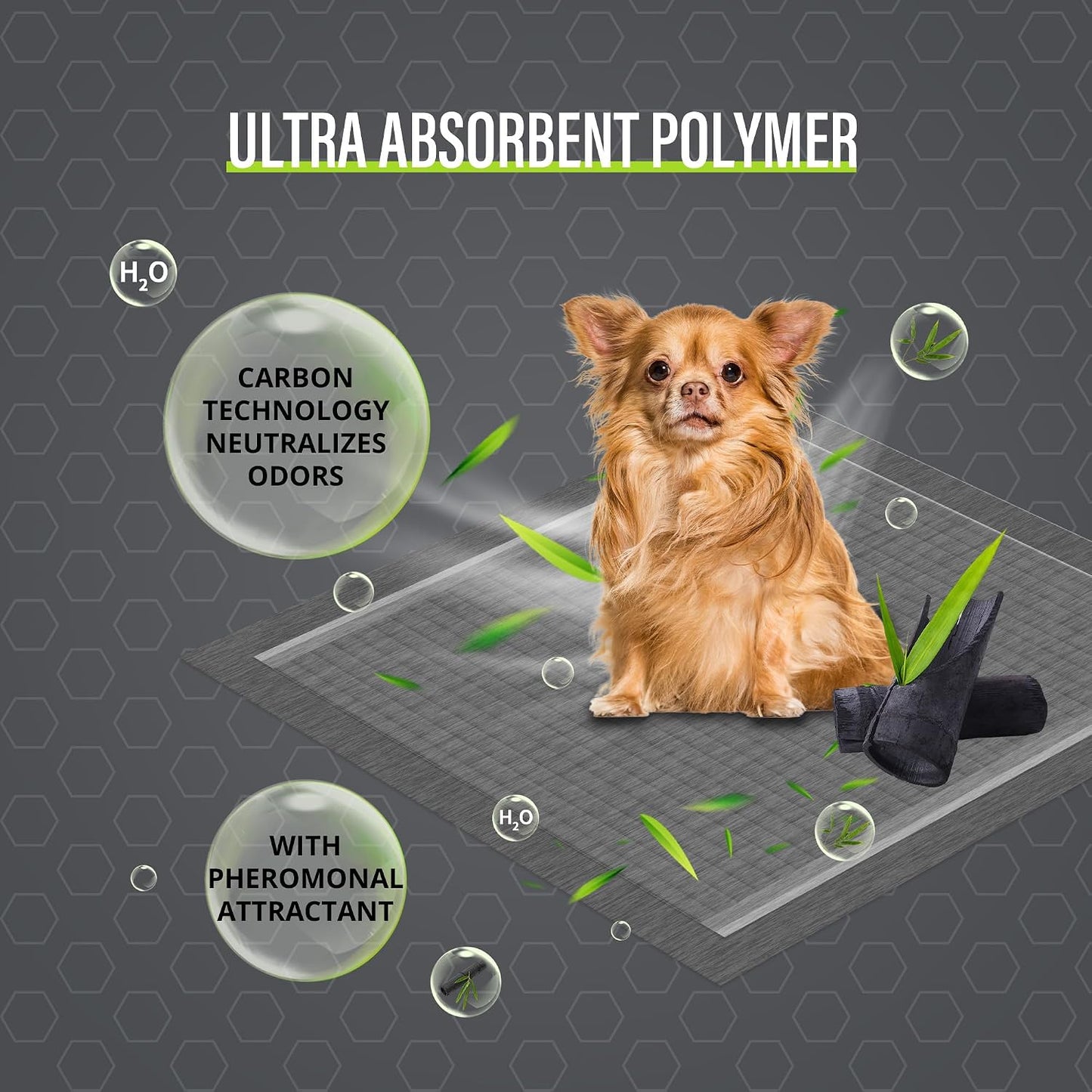 COCOYO disposable doggie potty pads dimensions twenty two by twenty two inch