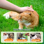 NateNatenight feline digestive health oral suspension liquid bottle on a clean white background.