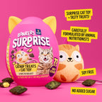 Bonkers cat surprise pink egg case packaging open view