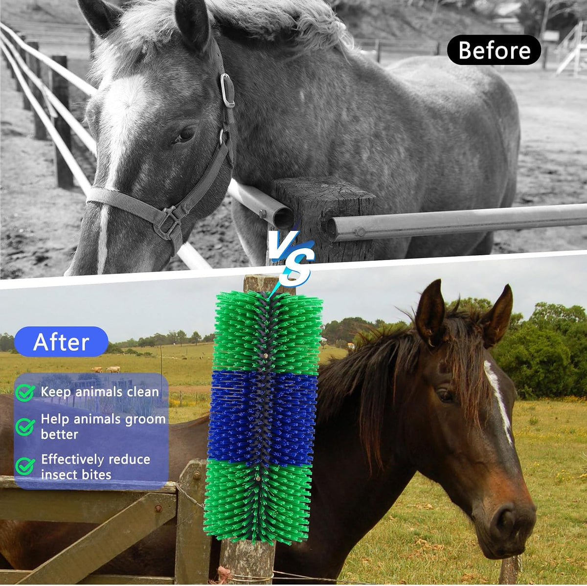 Side angle view of livestock scratching brush bristles