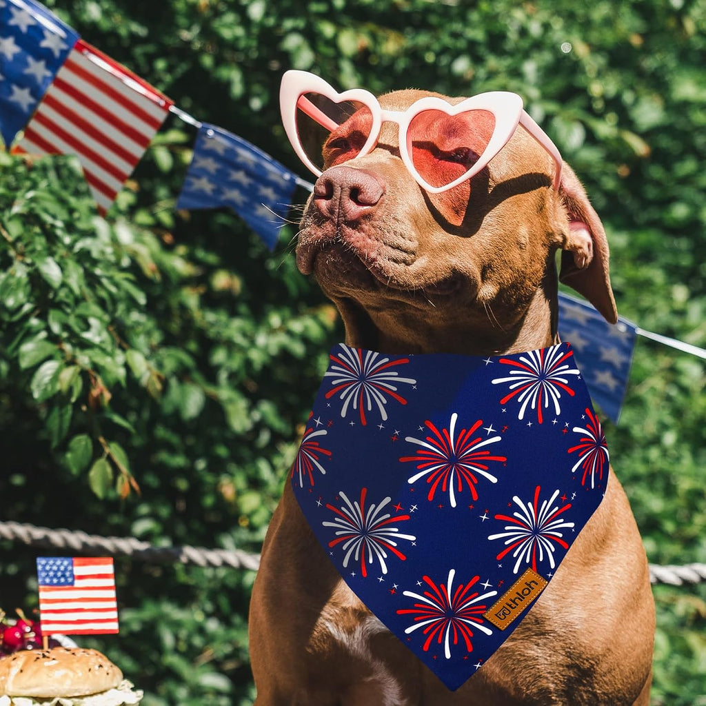 Durable dual-layered fabric texture of THLOH patriotic pet accessory