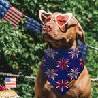 Durable dual-layered fabric texture of THLOH patriotic pet accessory