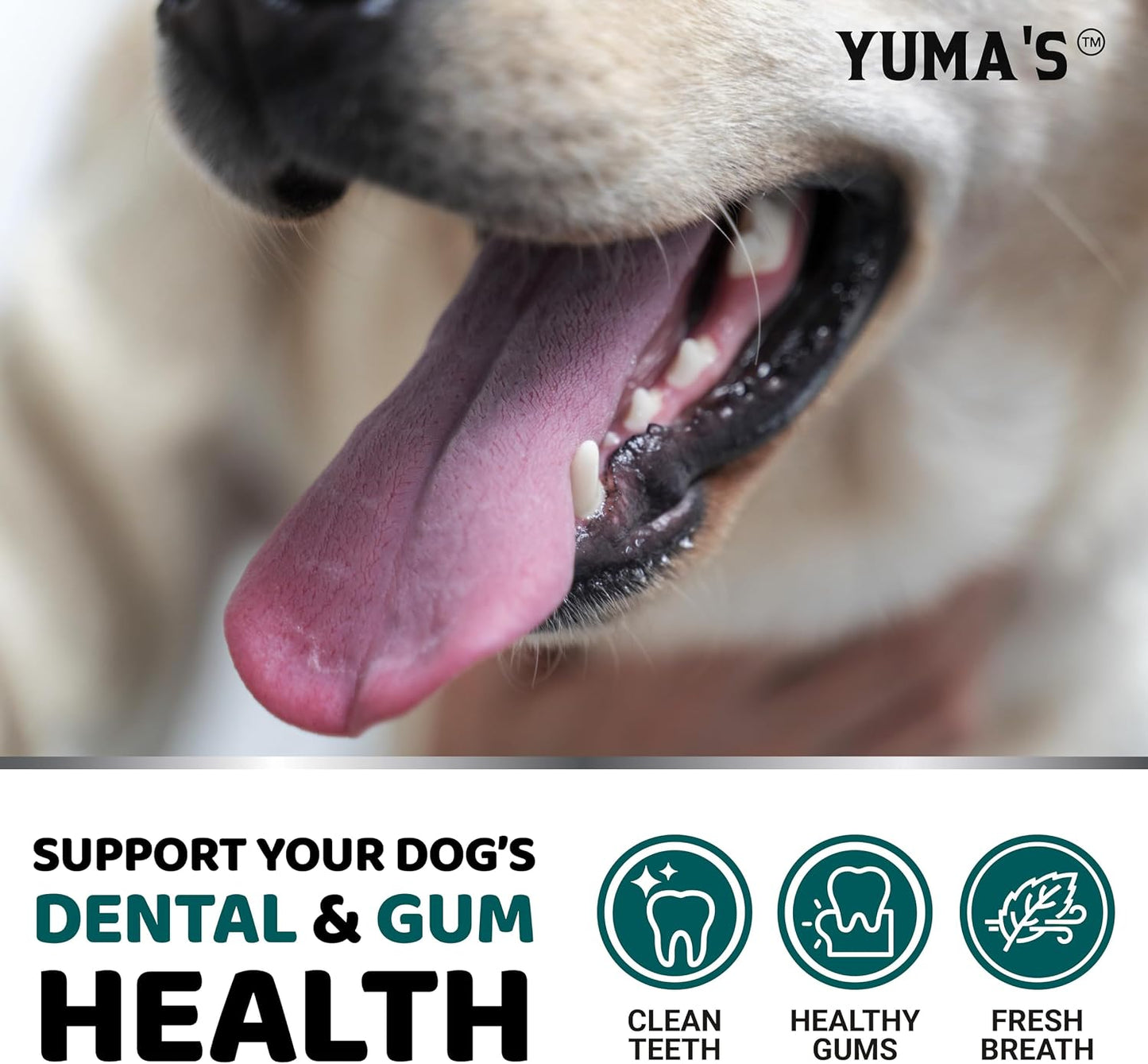 Before and after visual representation of canine plaque remover efficacy