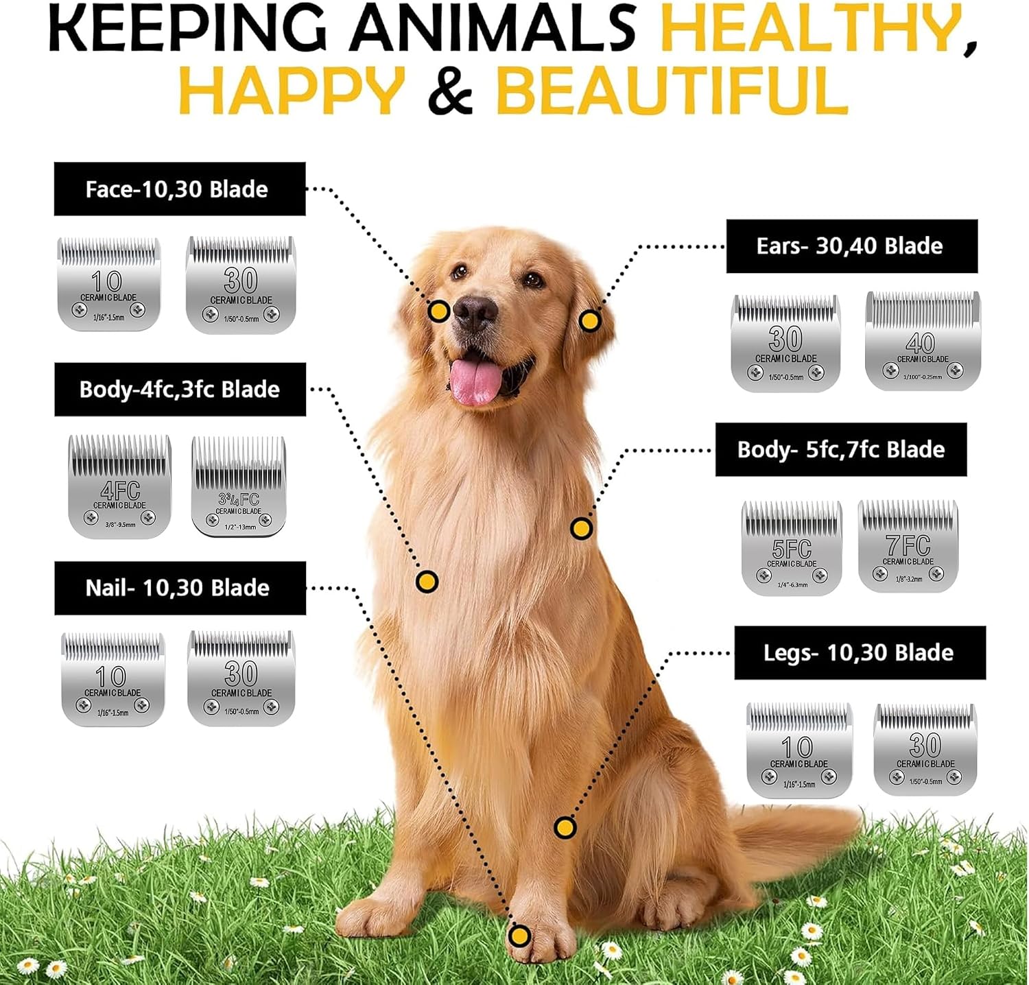 Universal A5 compatible pet grooming blade displayed next to standard professional animal clippers.