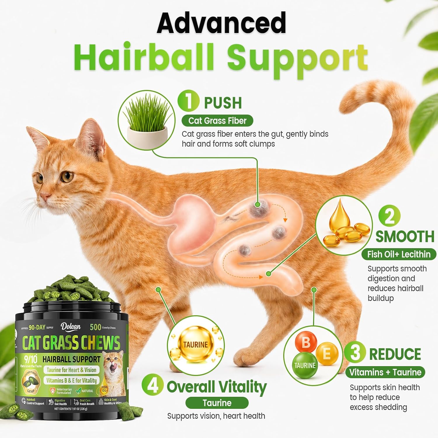 Indoor cat enjoying Zhsteveg hairball remedy supplement chews