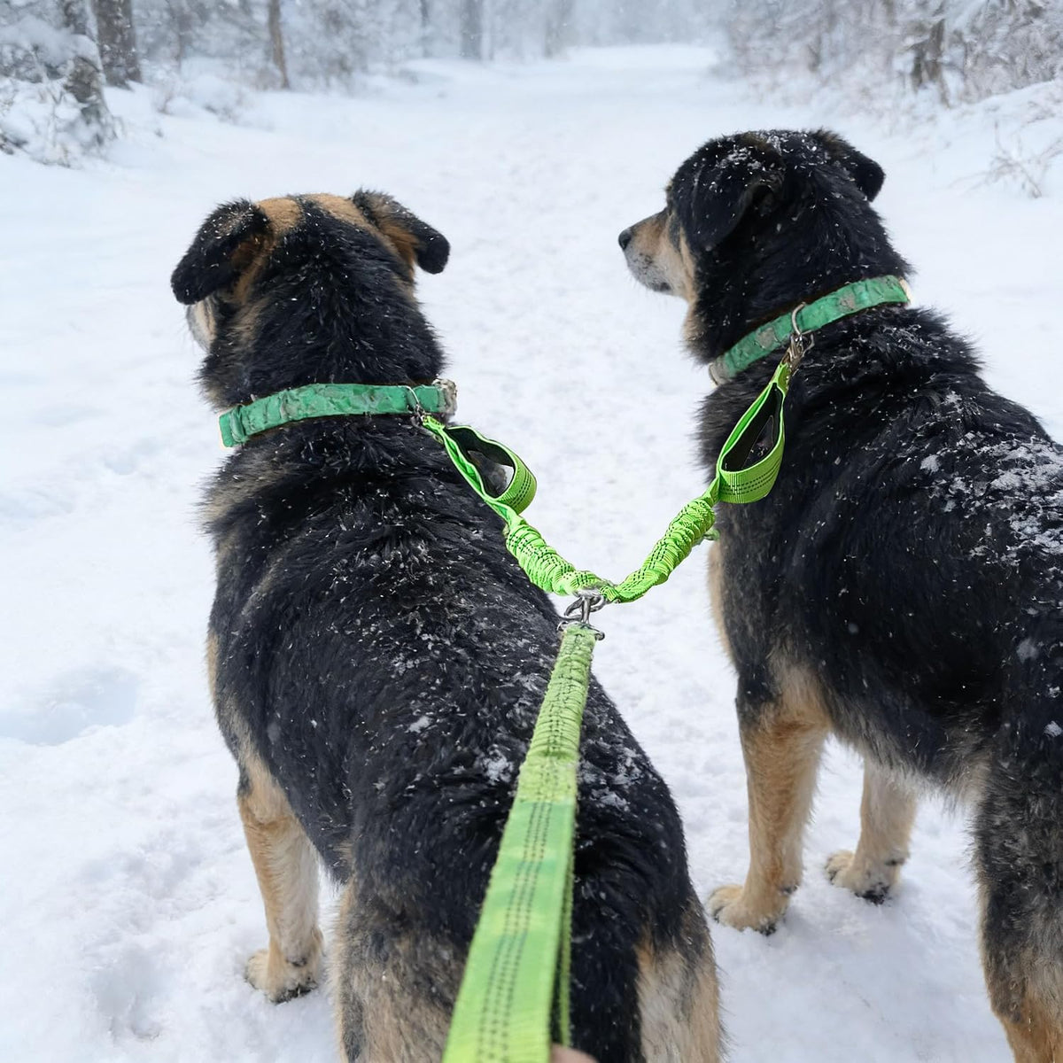 Dual Dog Leash Coupler, Double Control Padded Handles for 2 Dogs, Heavy Duty No Tangle Reflective Splitter Dog Leash Extension, for Medium Large Dogs Walking- Black - Image 9
