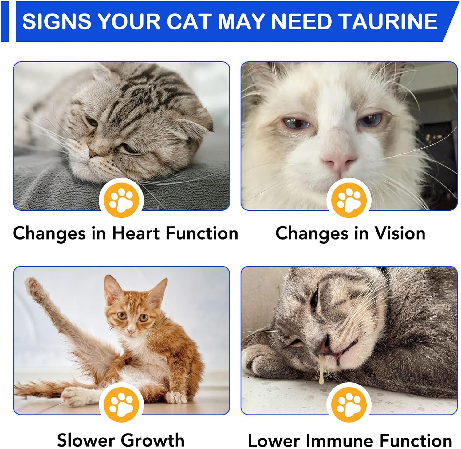 Fangcun premium liquid taurine supplement for all life stages of cats