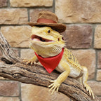 Lizard clothing apparel on display showing dimensions and materials