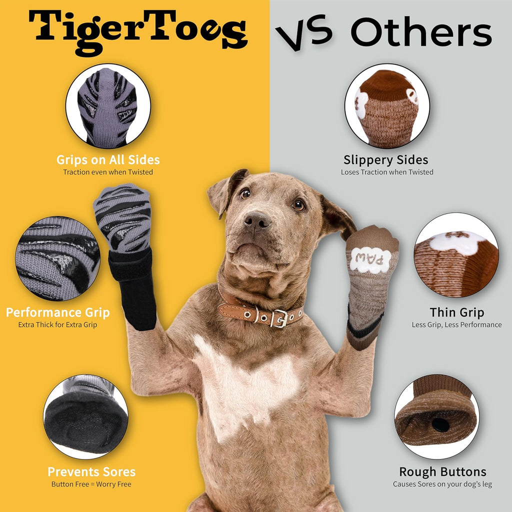 Senior dog wearing Dok TigerToes on hardwood floor
