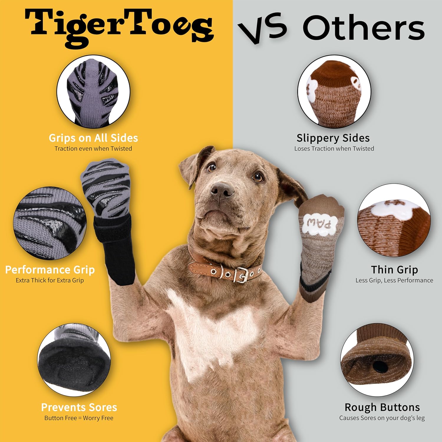 Senior dog wearing Dok TigerToes on hardwood floor
