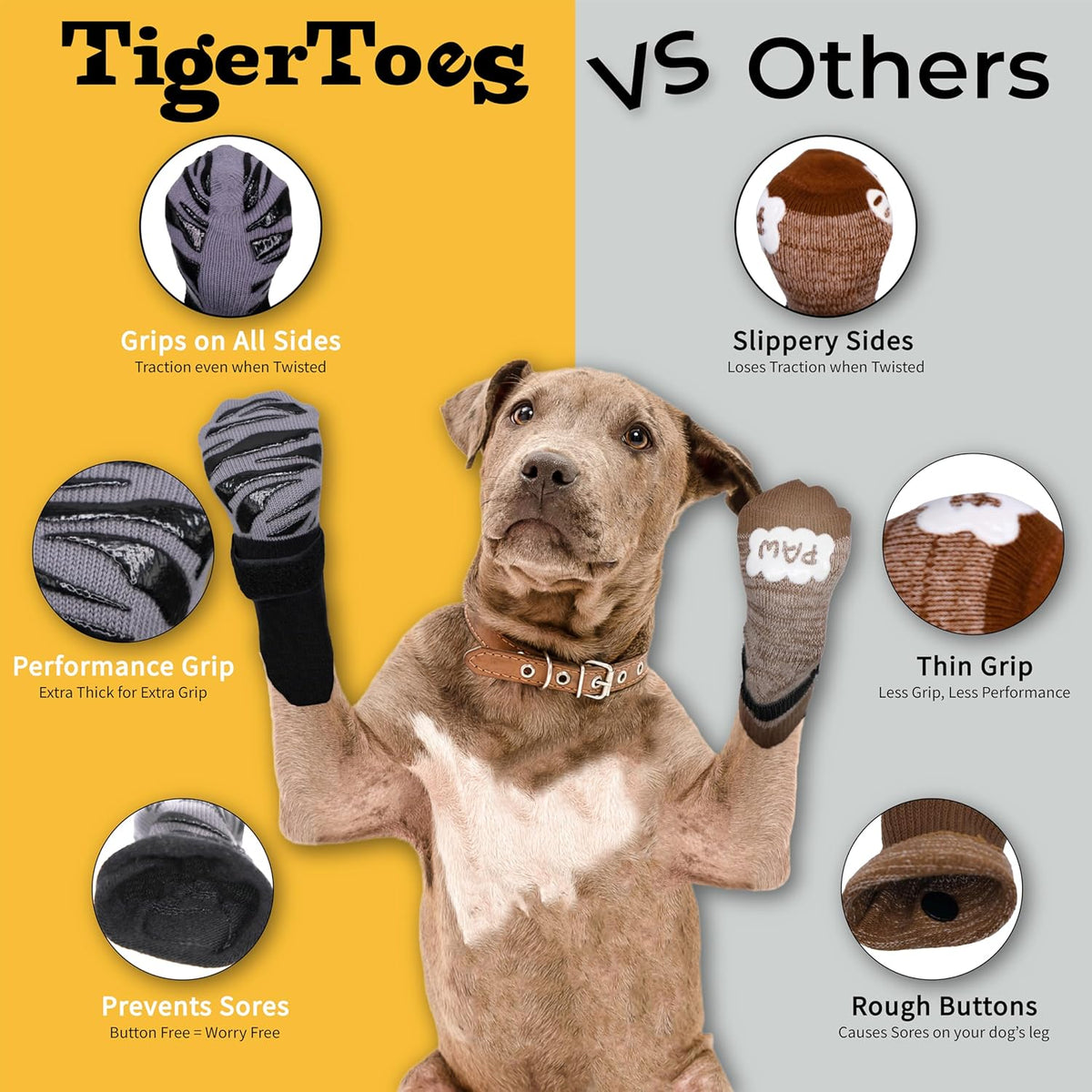 Senior dog wearing Dok TigerToes on hardwood floor