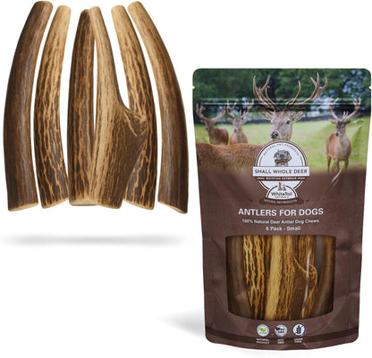 Whitetail Naturals Deer Antler Dog Chews (3 Pack Medium) - Wild Sourced, Naturally Shed Whole Antlers for Dogs - Long Lasting Dog Bones for Power Chewers - Image 13