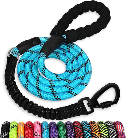 Jenico 15ft dog lead full product layout showing all premium components