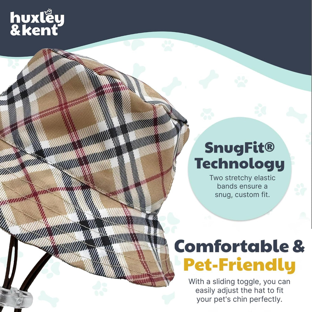 Lifestyle shot of medium size pet hat on a dog