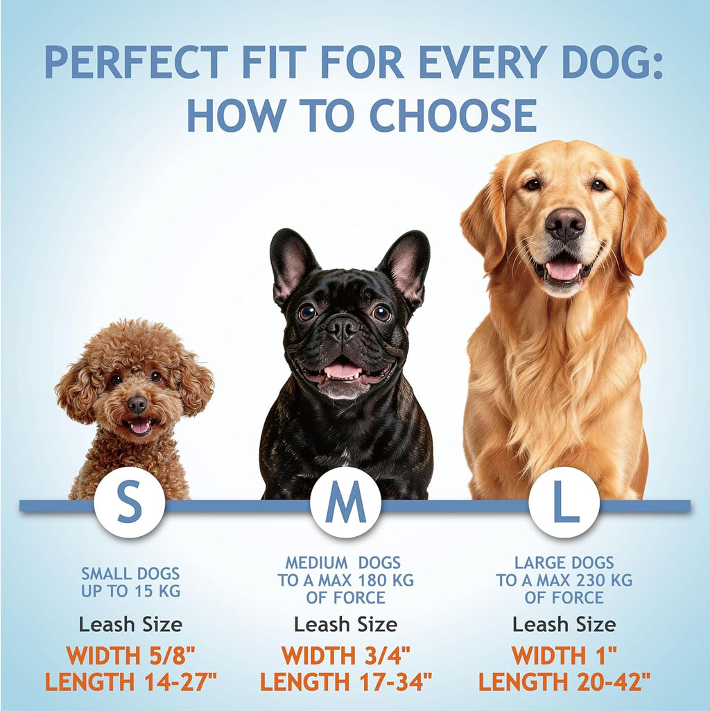 Kruz Pet 1 inch wide adjustable double dog lead extended to maximum length
