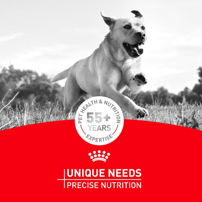 Royal Canin Breed Health Nutrition French Bulldog Wet Dog Food for Adult Dogs, Loaf Wet Food for French Bulldogs 12 Months+, Supports Digestive Health and Bone & Joint Health, 3 oz Can (Pack of 6) - Image 9