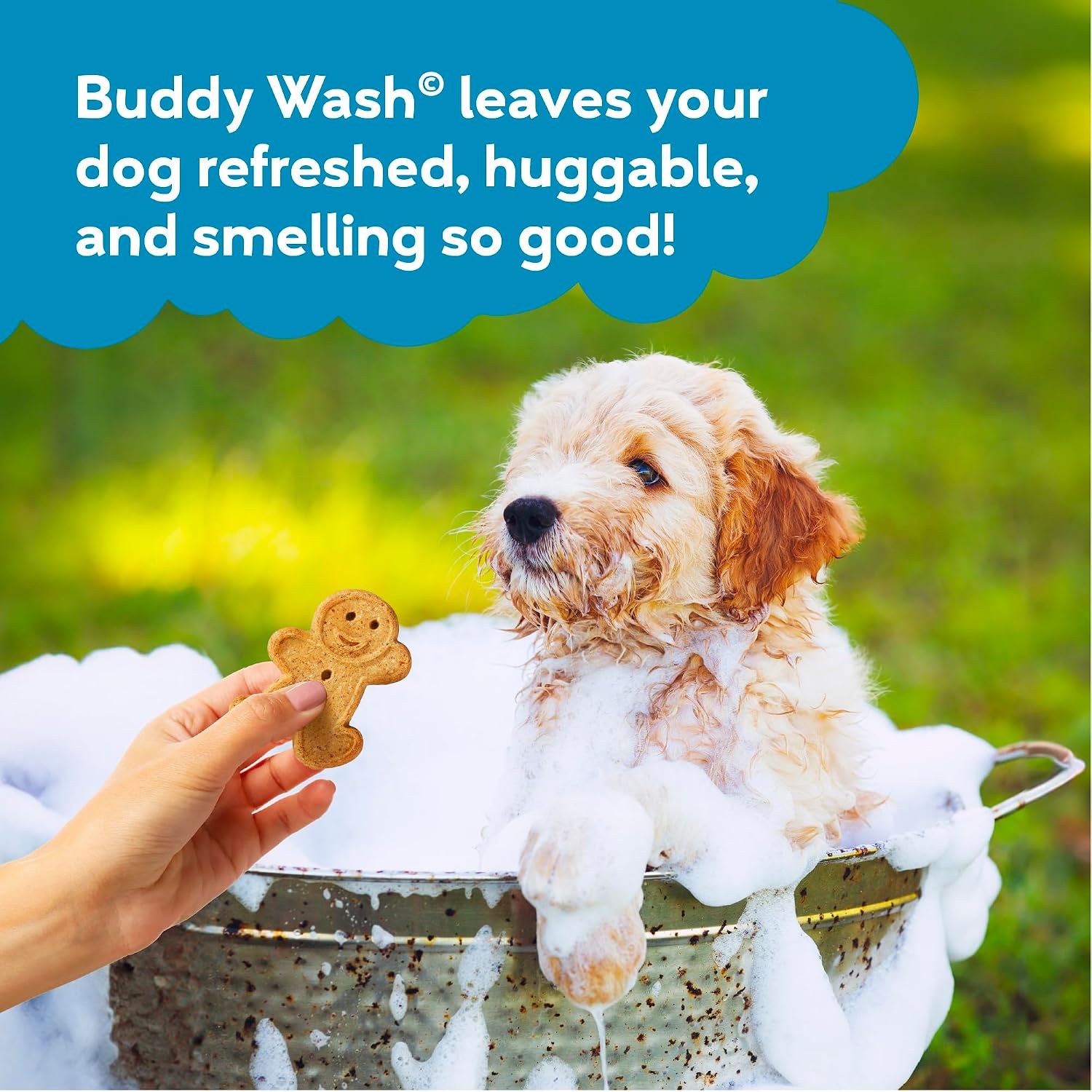 Side profile of Buddy Biscuits pet grooming wash