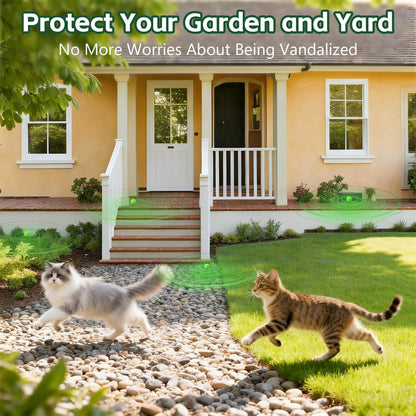 Using Ialterll cat deterrent near indoor furniture