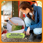 Laying hen with healthy feathers eating insect protein supplement