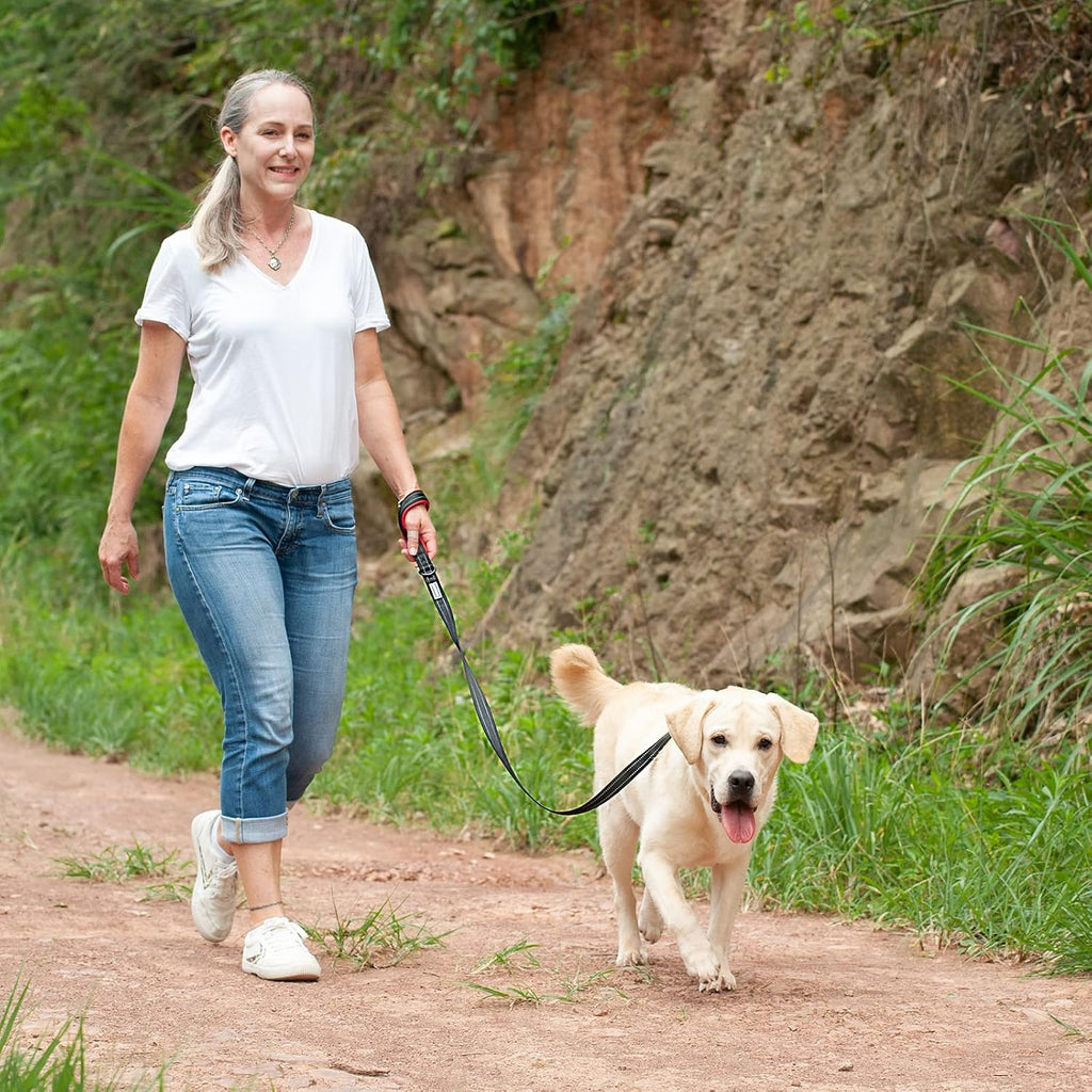 Vivaglory dog lead with D-ring accessory attachment