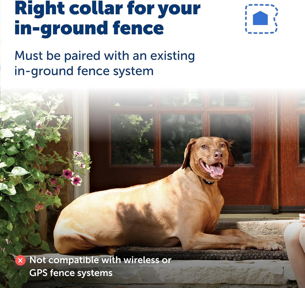 PetSafe in ground fence collar accessory packaged for domestic shipping