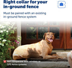 PetSafe in ground fence collar accessory packaged for domestic shipping