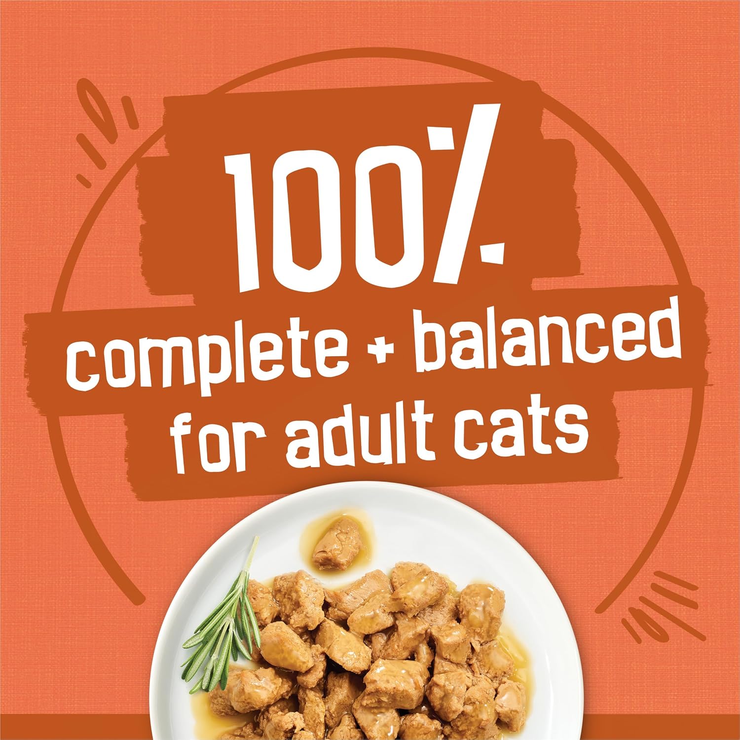 Purina Friskies extra gravy chunky turkey wet cat food savory sauce