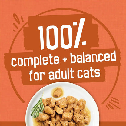 Purina Friskies extra gravy chunky turkey wet cat food savory sauce