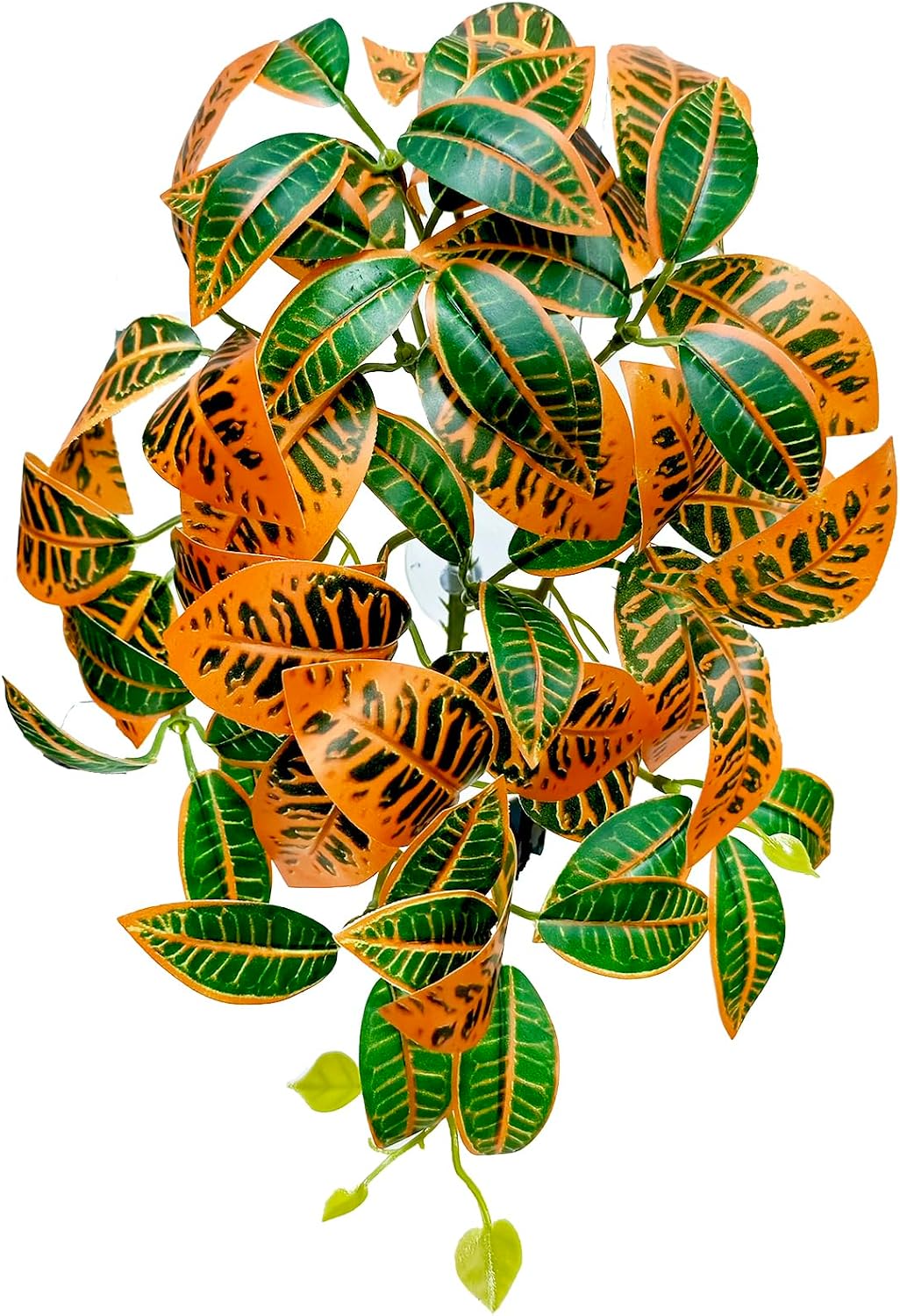 Woyrise reptile terrarium hanging plant vine front view