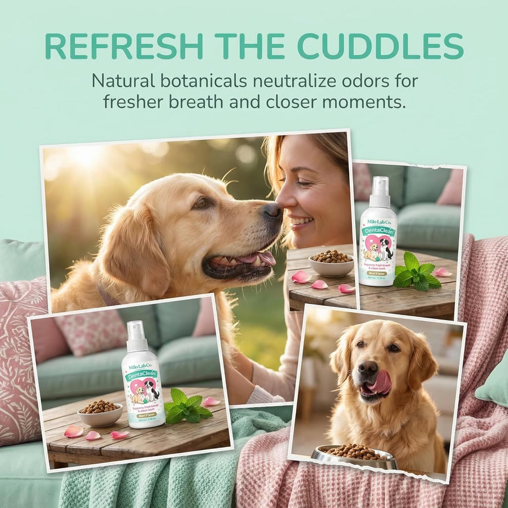 Premium probiotic dog tartar remover solution spray bottle