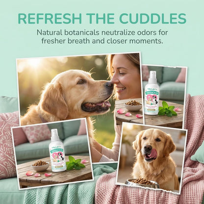Premium probiotic dog tartar remover solution spray bottle