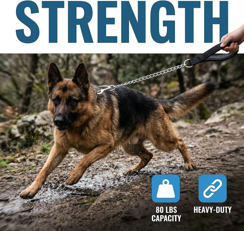 Heavy duty pet training lead attached securely to a durable metal harness ring.