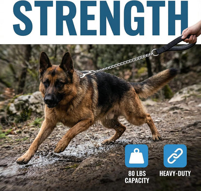 Heavy duty pet training lead attached securely to a durable metal harness ring.
