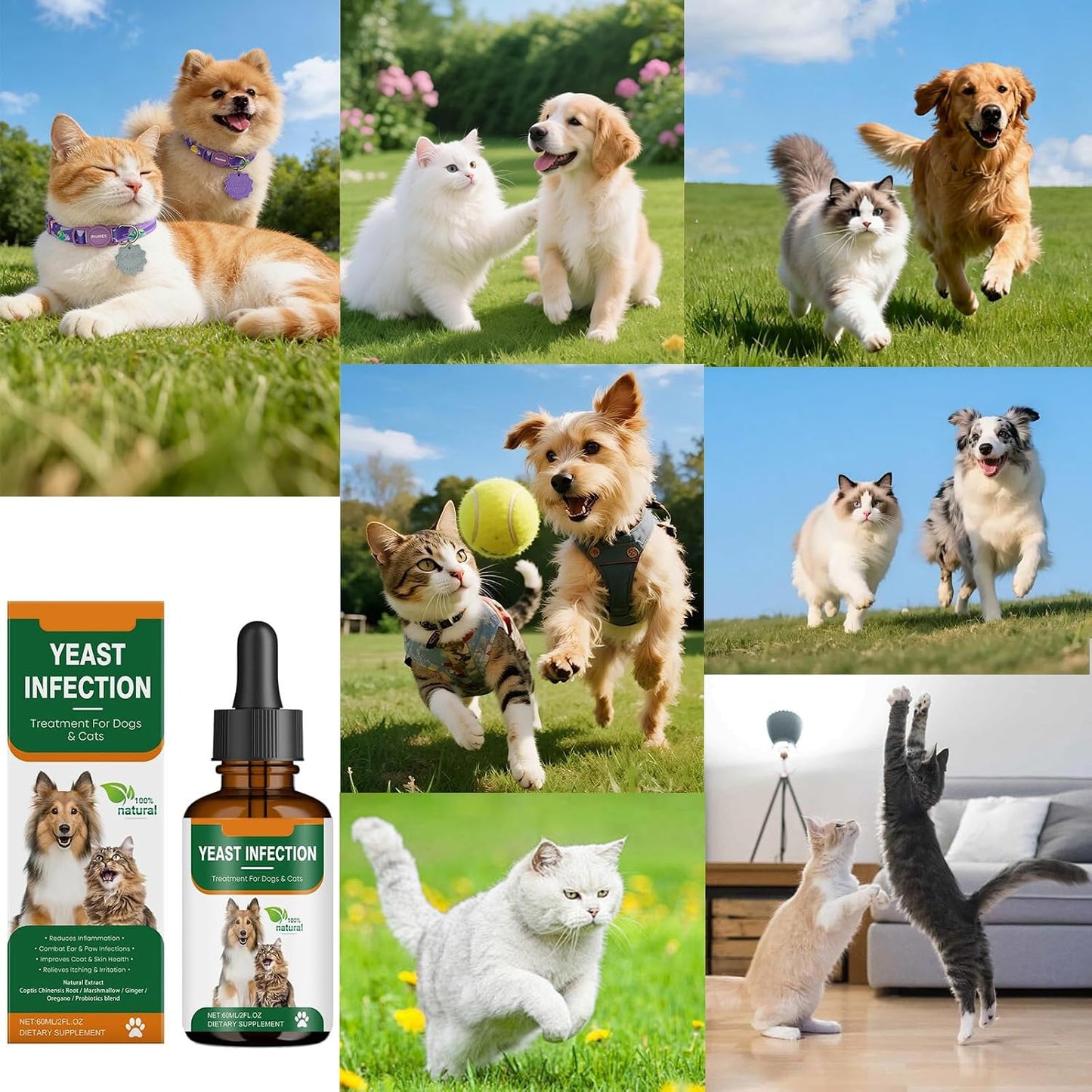 Premium imported USA pet care dietary supplement for itchy skin and candida control