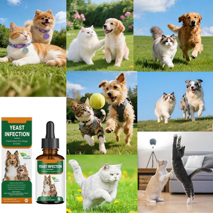 Premium imported USA pet care dietary supplement for itchy skin and candida control