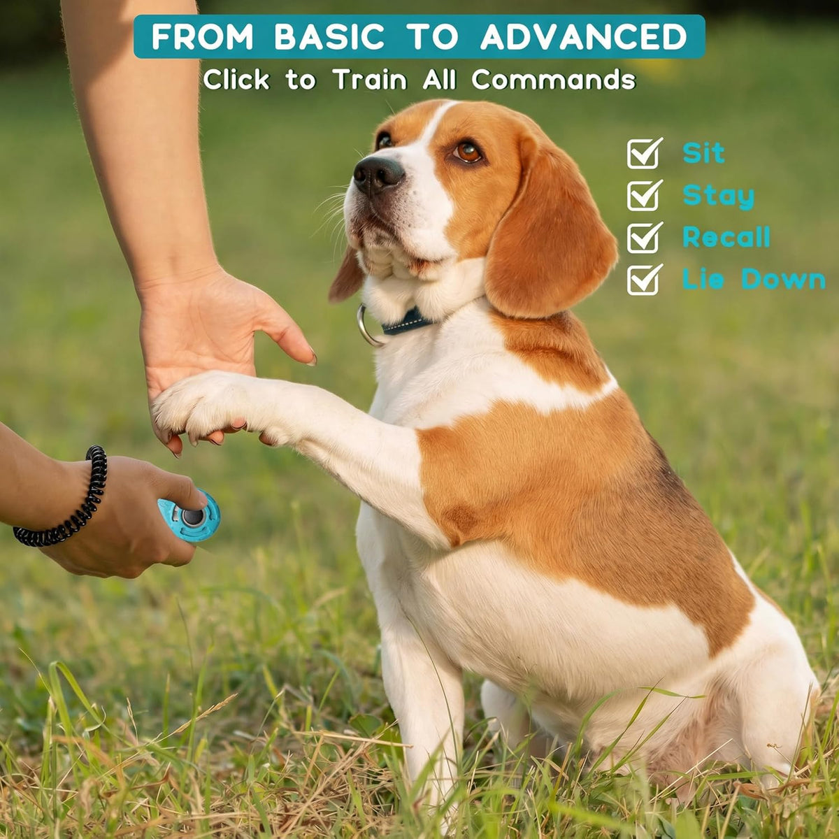 Behavioral training clicker for dogs cats birds and horses
