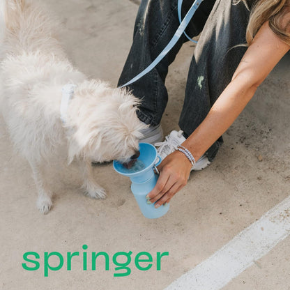 Compact Springer puppy water dispenser showing the food grade silicone bowl layout from above