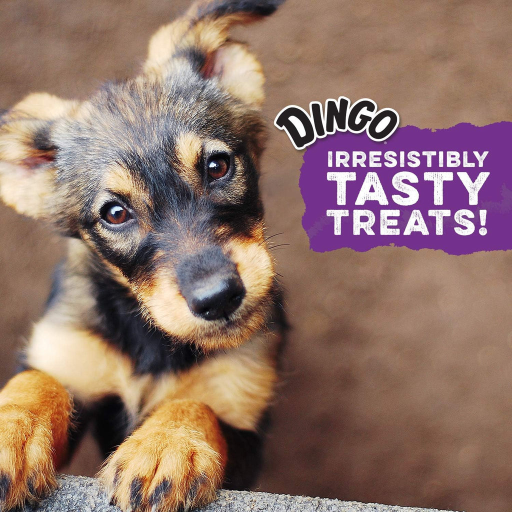 Resealable packaging of Dingo Dynostix premium chicken flavored dog treats for freshness