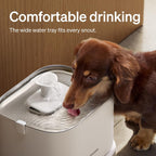 Top view of filtered dog water bowl with flowing stream