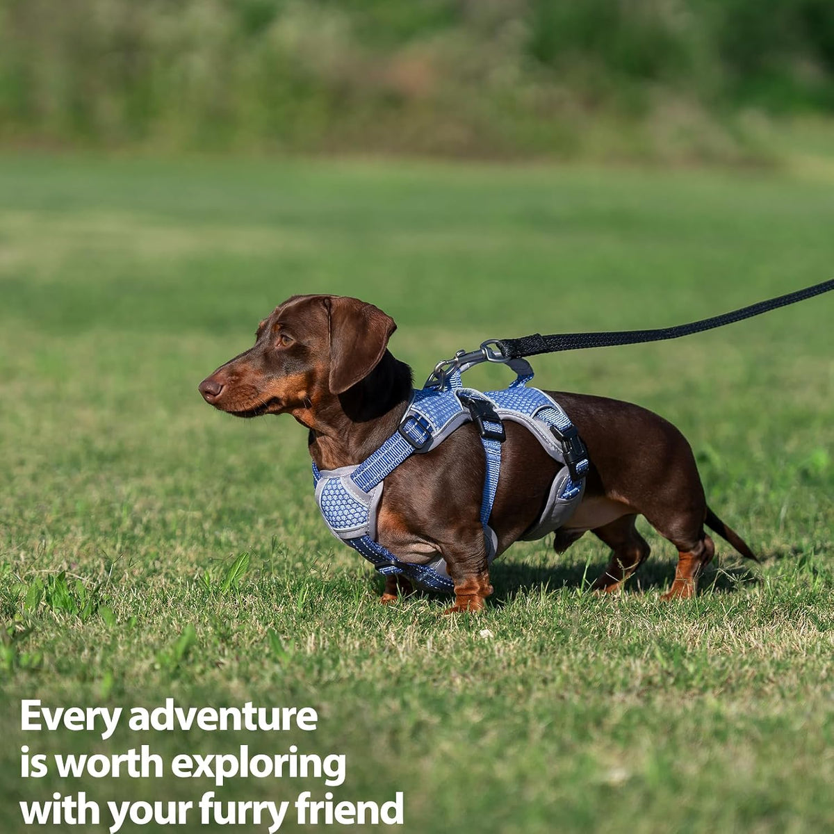 Huntboo escape proof dog harness showing breathable mesh padding fabric