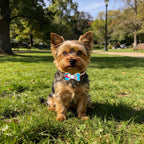 Assorted lightweight polyester ribbon pet bow ties designed for small male dogs and cats.
