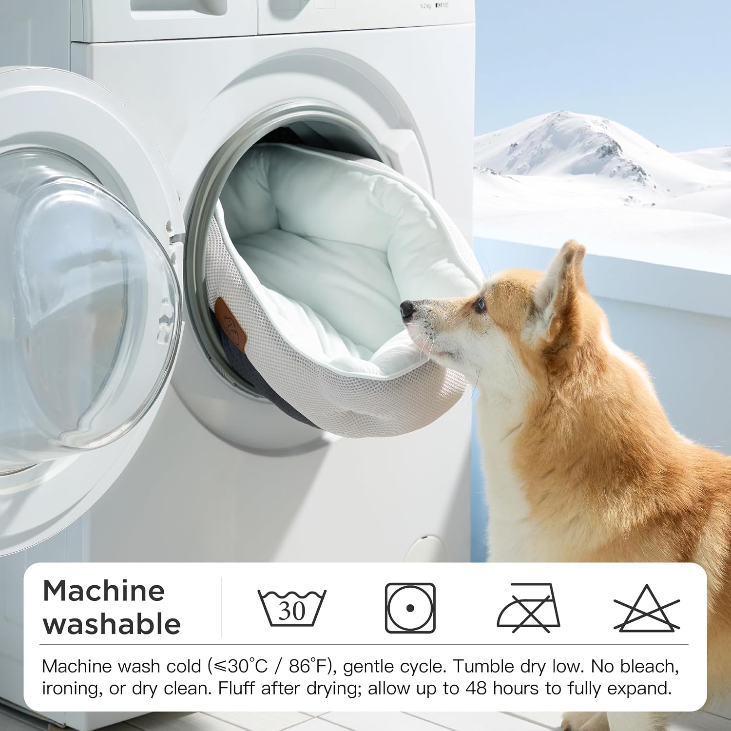 Washable pet bed showing slip resistant bottom