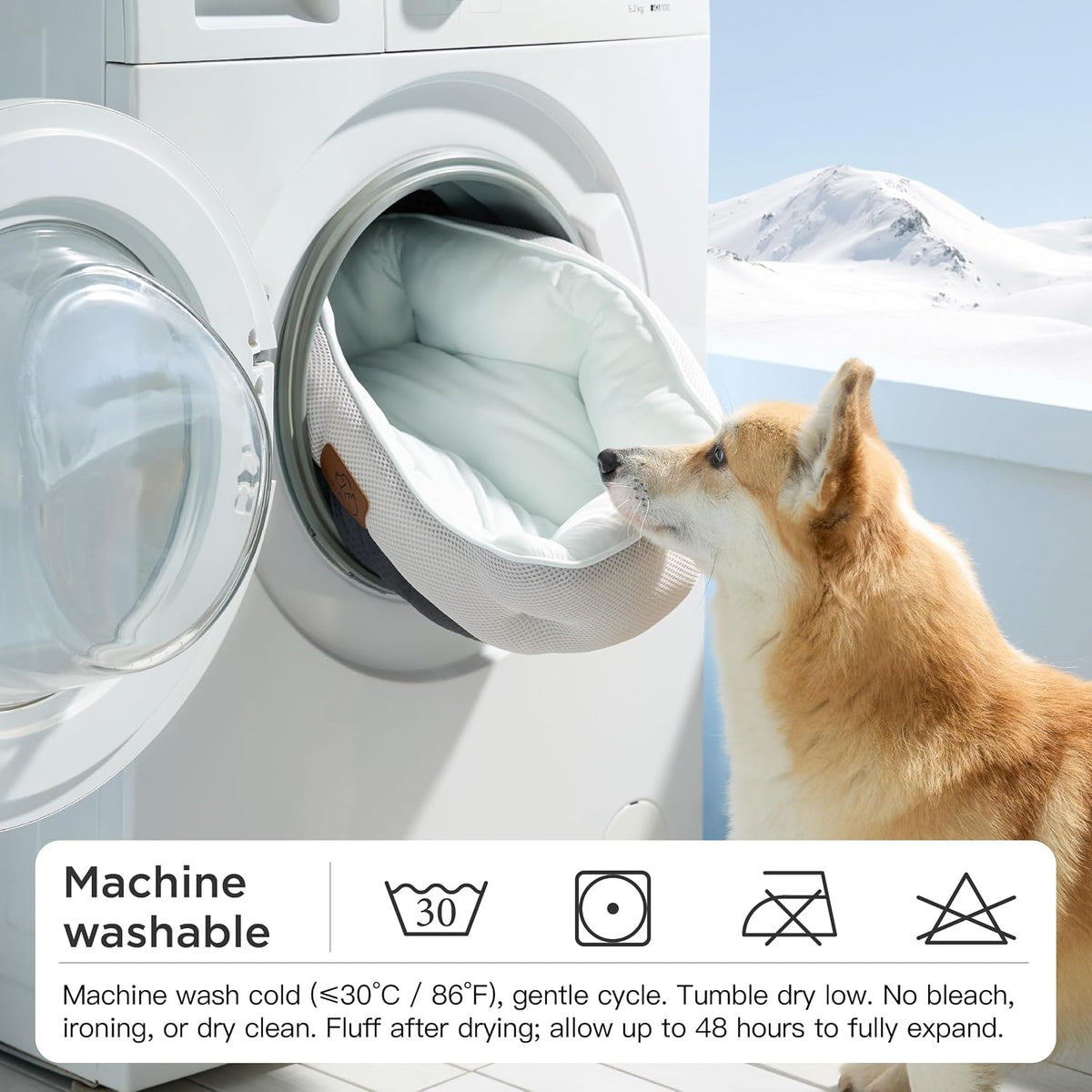 Washable pet bed showing slip resistant bottom
