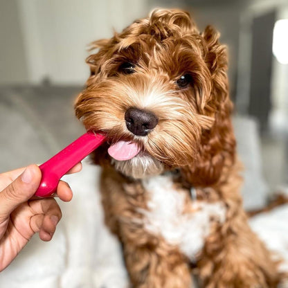Nylabone textured bone bristles detail for dental health
