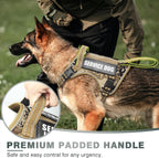 Adjustable no pull pet harness featuring quick release buckles and reflective straps.